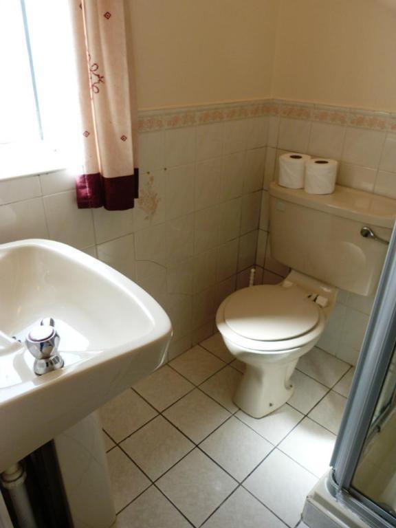 Ace Guest house
