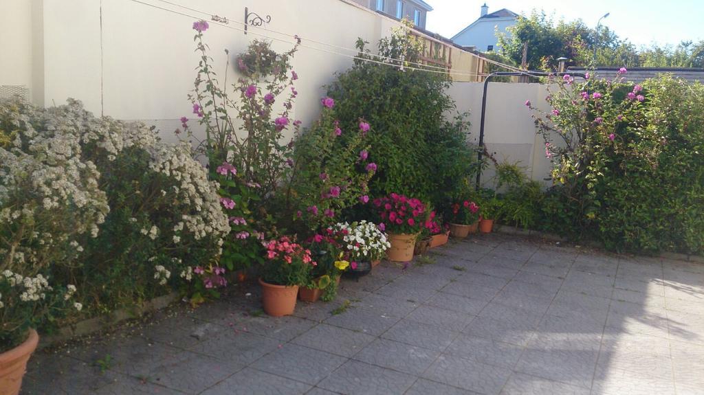 Guest house Seashore