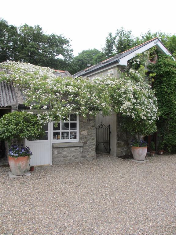 Bed & Breakfast Norman *