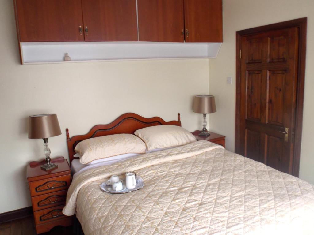Guest house Ashford Manor Galway