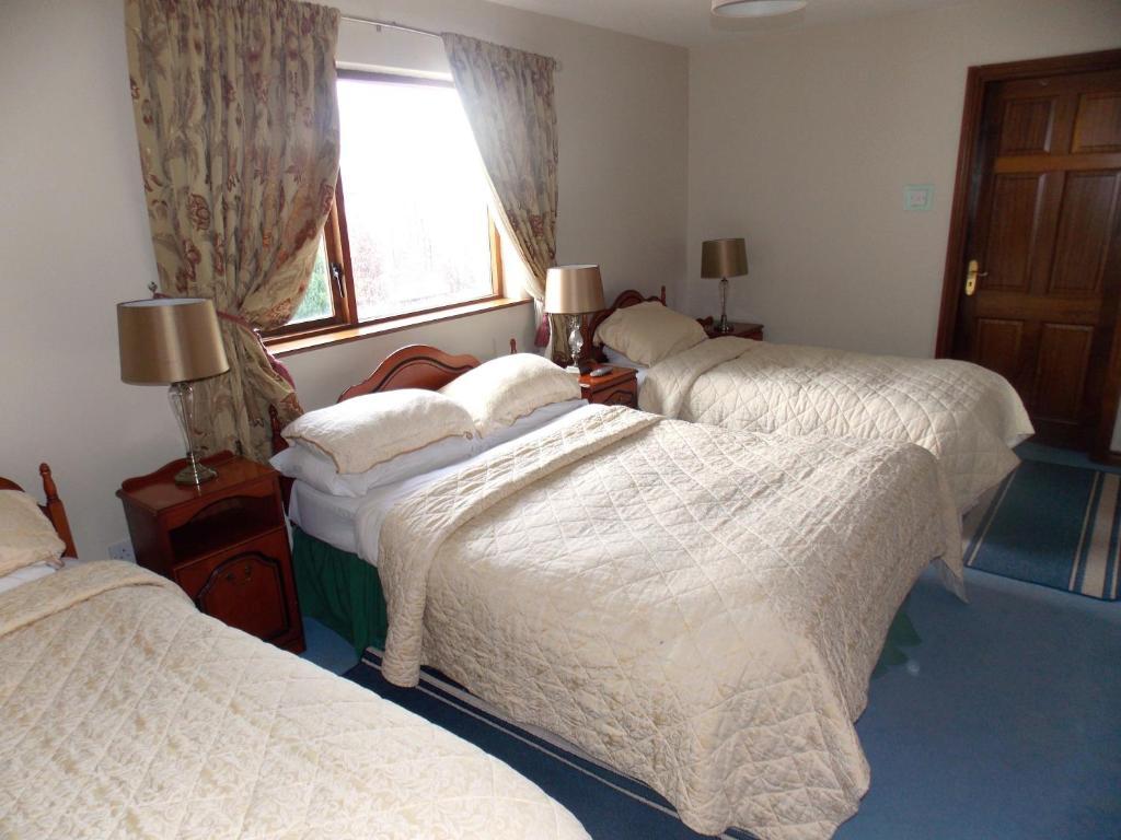 Ashford Manor Galway