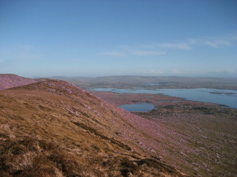 Hillside House Galway