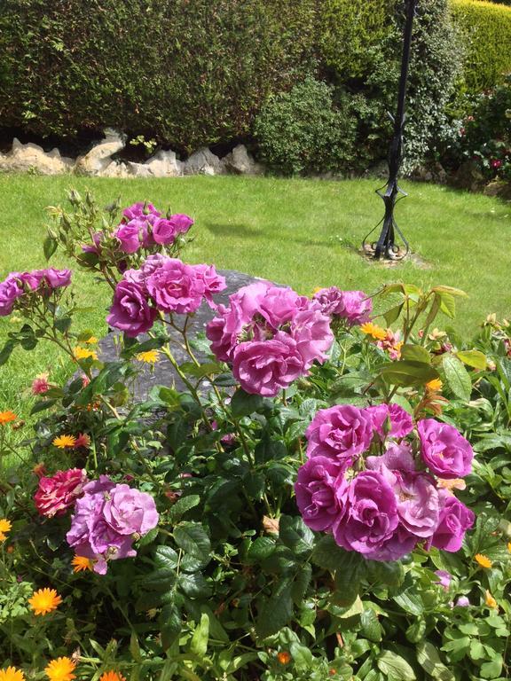 Bohola House Bed & Breakfast *