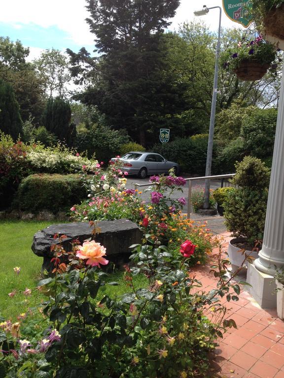 Bed & Breakfast Bohola House *