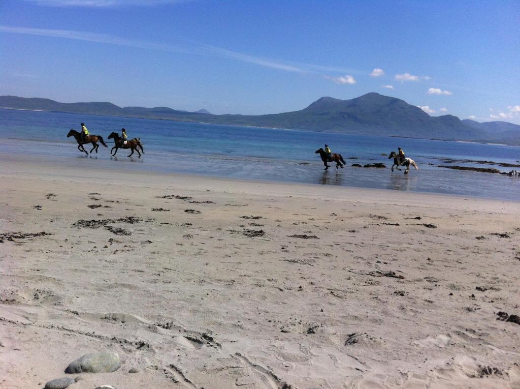 Holiday home Sunnymeade Accommodation With Sea View Galway