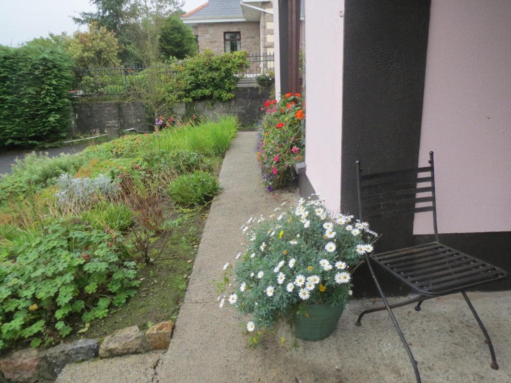 Bed & Breakfast Abbey View Galway