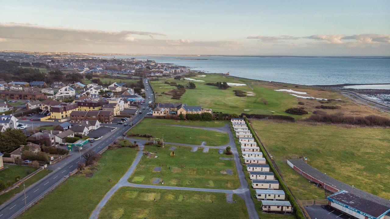 Gentian By The Sea Side In Salthill *