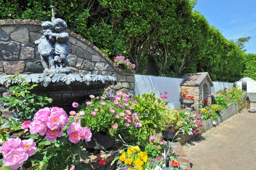 Marian Bed & Breakfast Galway