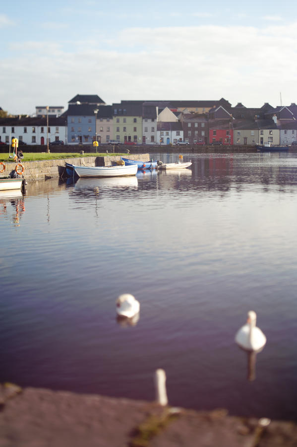 The Herons Rest Townhouse * Galway