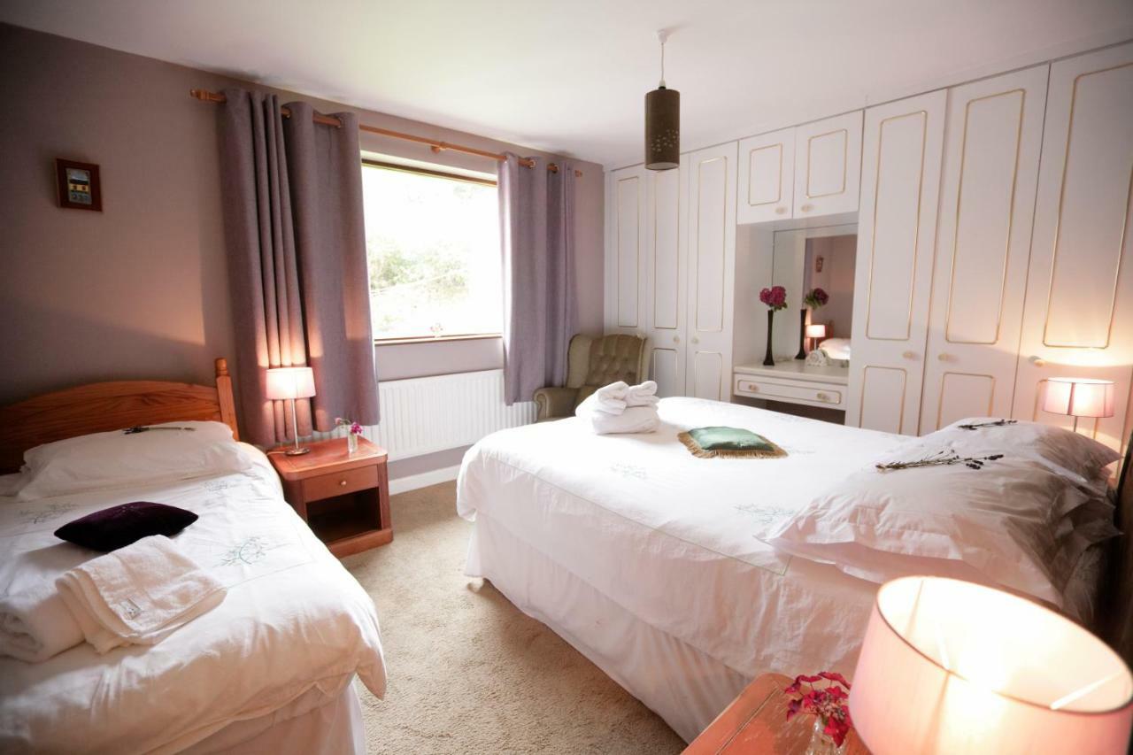 Abbey View 3* Galway
