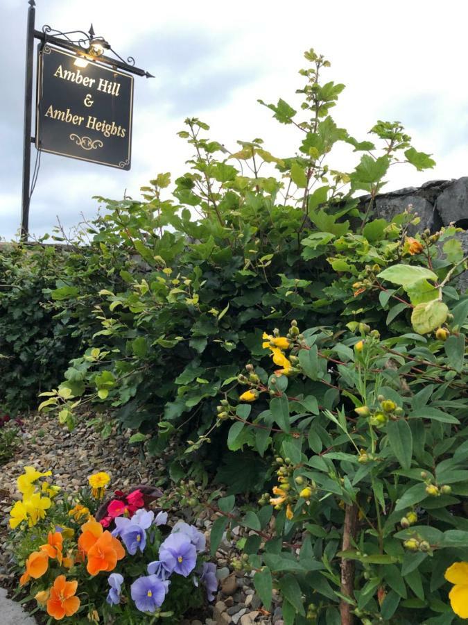 Bed & Breakfast Amber Hill Galway