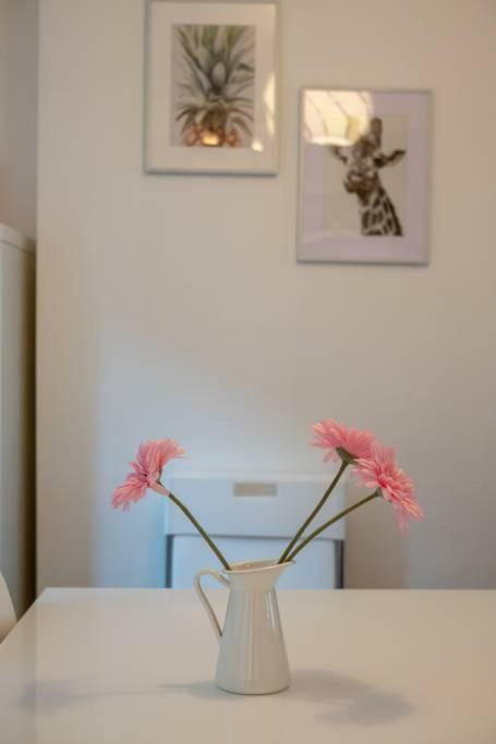 Galway City Cottage Apartment *