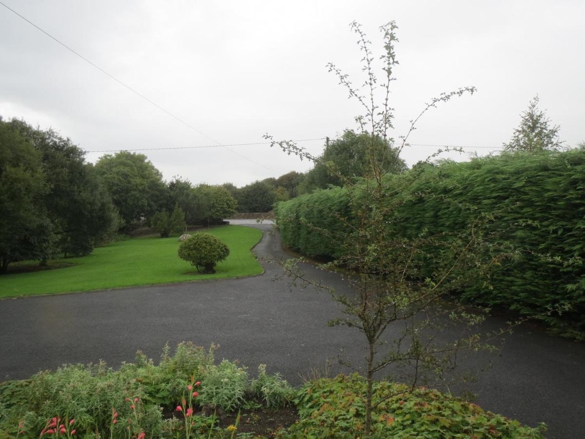 Bed & Breakfast Abbey View Galway