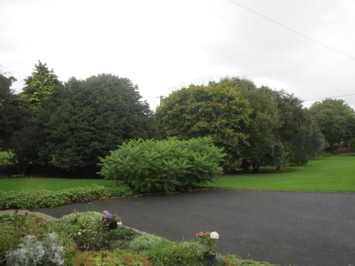Abbey View Bed & Breakfast Galway