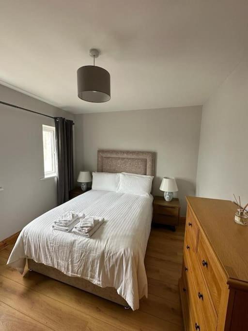 Snug Centrally Located Apartment Galway