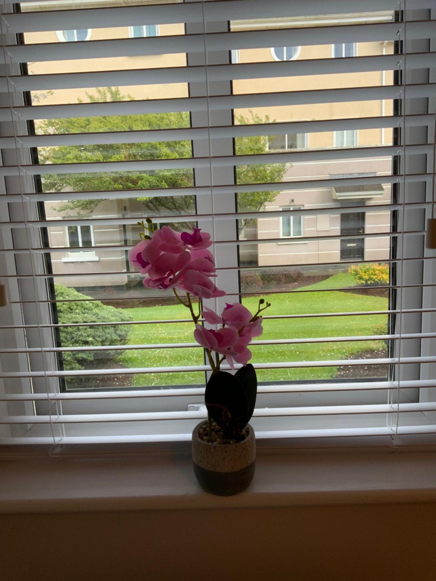 Quite And Cozy 2 Bedroom Galway