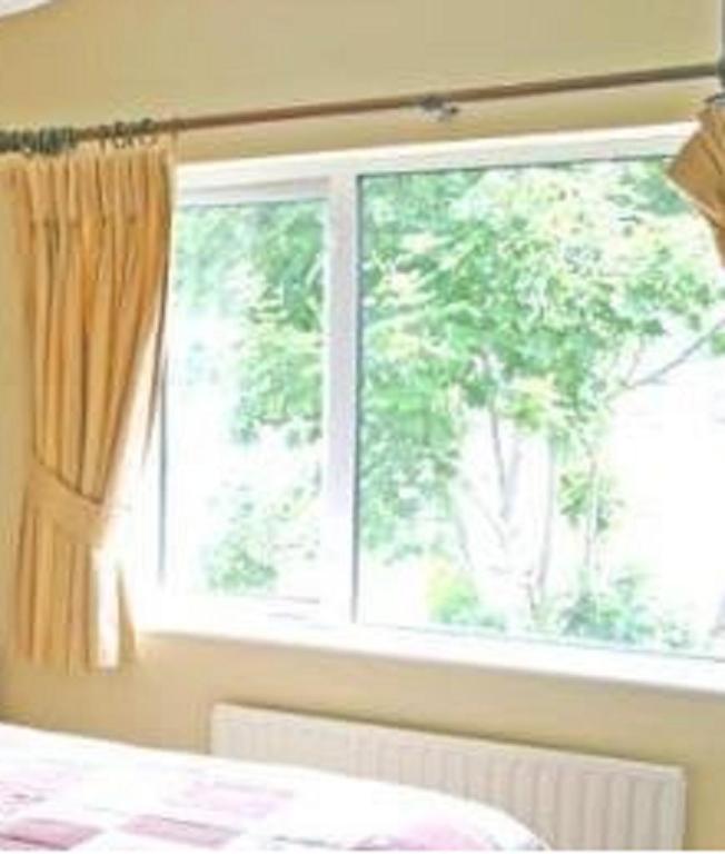 Copper Beech 3*