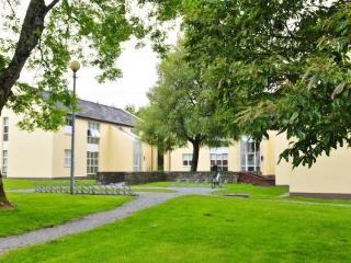 Corrib Village Of * Galway