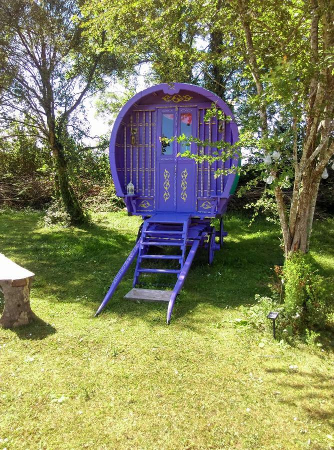 Kittys Cosy Camping * Galway