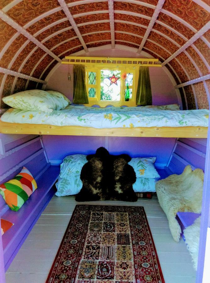 Kittys Cosy Camping Galway