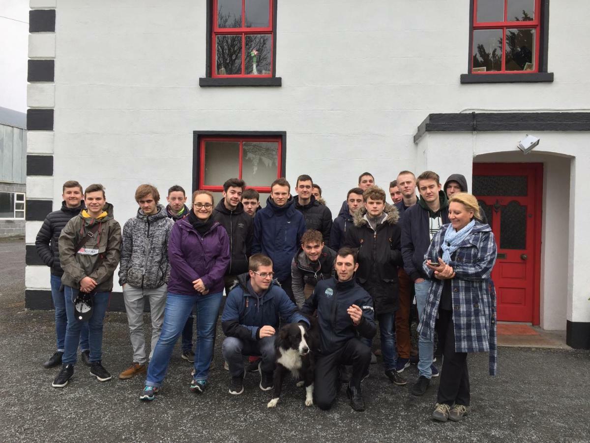 Bed & Breakfast Breanloughaun Briarhill Galway