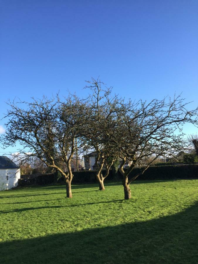 Breanloughaun Briarhill Galway