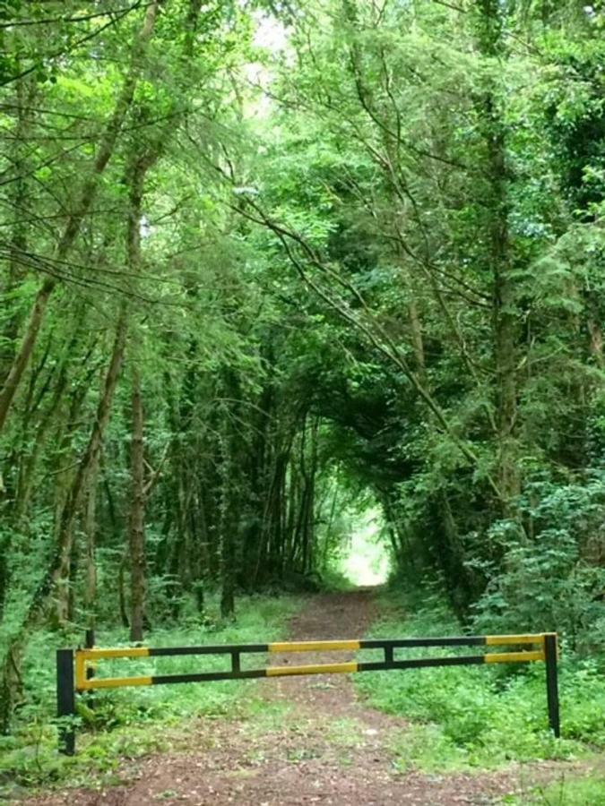 Holiday home Rosewood Galway